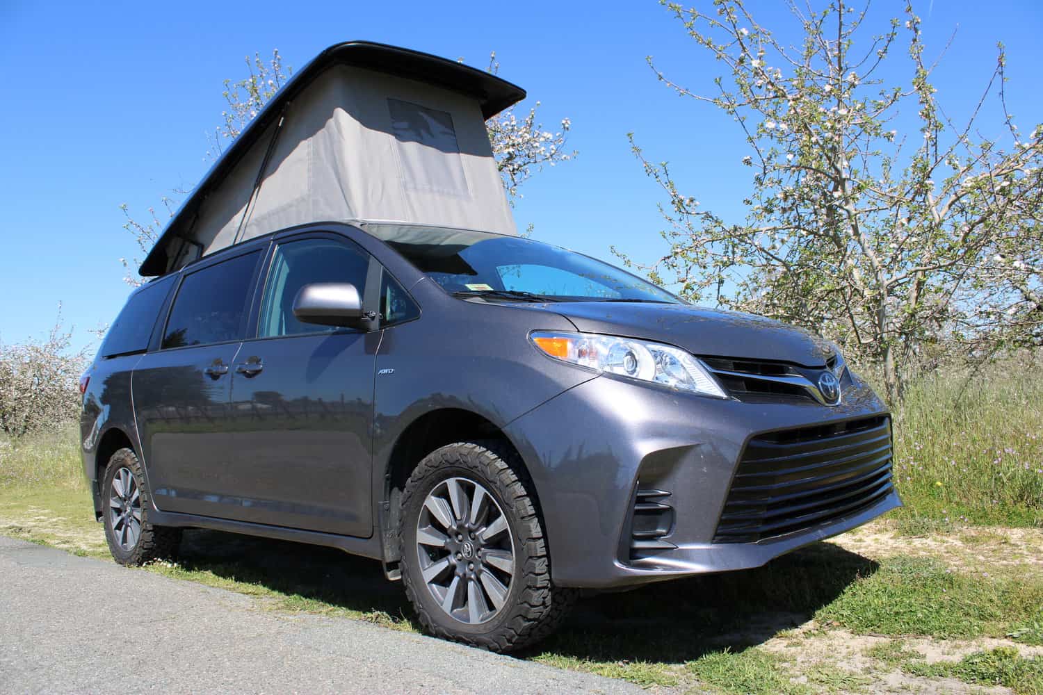 toyota-sienna-pop-topp00011
